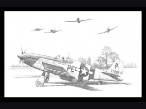 Beating up Bodney ~ Nicolas Trudgian