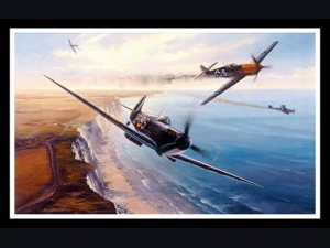 First Flap of the Day ~ Nicolas Trudgian