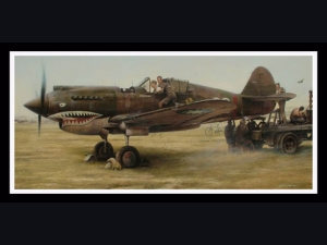 Shark Sighting ~ John Shaw