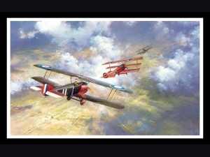 The Last Combat of the Red Baron -Frank Wootton